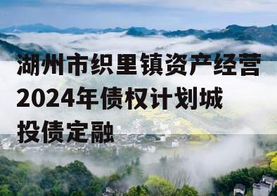 湖州市织里镇资产经营2024年债权计划城投债定融
