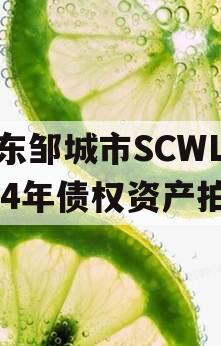 山东邹城市SCWL2024年债权资产拍卖