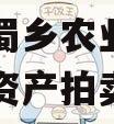 资阳市蜀乡农业投资开发债权资产拍卖