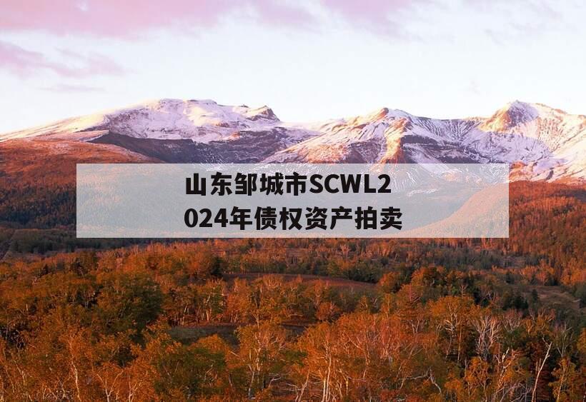 山东邹城市SCWL2024年债权资产拍卖