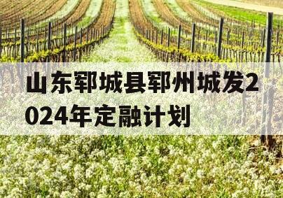 山东郓城县郓州城发2024年定融计划