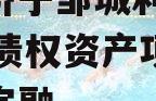 山东济宁邹城利民2024年债权资产项目城投债定融