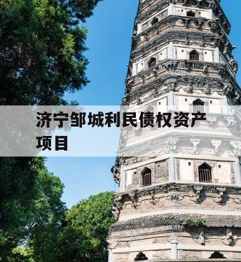 济宁邹城利民债权资产项目