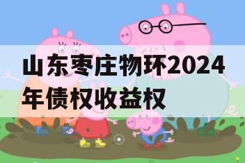 山东枣庄物环2024年债权收益权