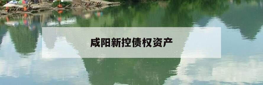 咸阳新控债权资产