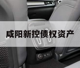 咸阳新控债权资产