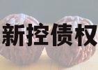 咸阳新控债权资产