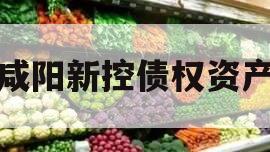 咸阳新控债权资产