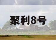 聚利8号