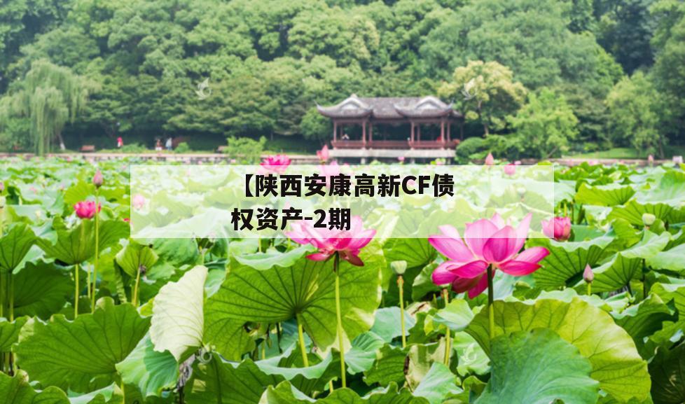 【陕西安康高新CF债权资产-2期