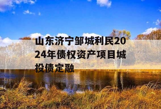 山东济宁邹城利民2024年债权资产项目城投债定融