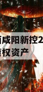 陕西咸阳新控2024年债权资产