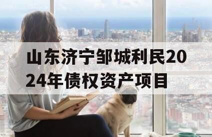 山东济宁邹城利民2024年债权资产项目