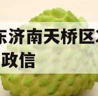 山东济南天桥区2024年政信