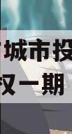 林州市城市投资2023年债权一期