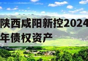 陕西咸阳新控2024年债权资产