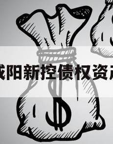 咸阳新控债权资产