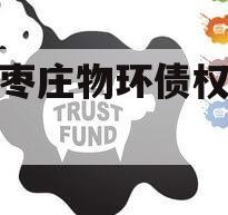 山东枣庄物环债权收益权