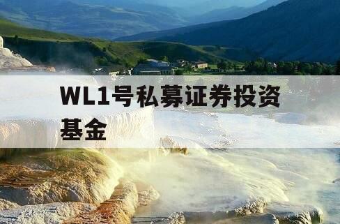 WL1号私募证券投资基金