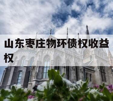 山东枣庄物环债权收益权