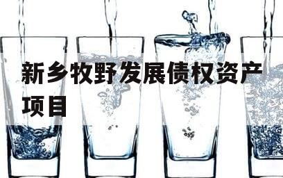 新乡牧野发展债权资产项目