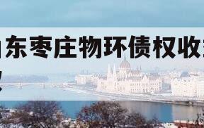 山东枣庄物环债权收益权
