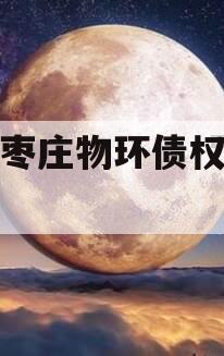 山东枣庄物环债权收益权