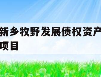新乡牧野发展债权资产项目