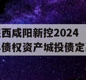 陕西咸阳新控2024年债权资产城投债定融