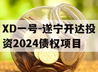 XD一号-遂宁开达投资2024债权项目