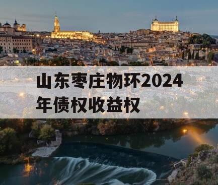 山东枣庄物环2024年债权收益权