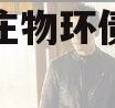 山东枣庄物环债权收益权