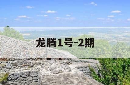 龙腾1号-2期
