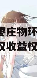 山东枣庄物环2024年债权收益权