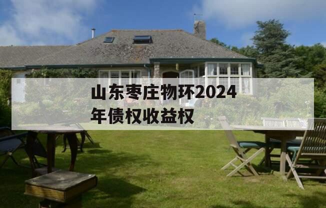 山东枣庄物环2024年债权收益权