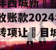 陕西沣西城新‬投资发展应收账款2024年债权转项让‬目城投债定融
