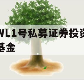 WL1号私募证券投资基金