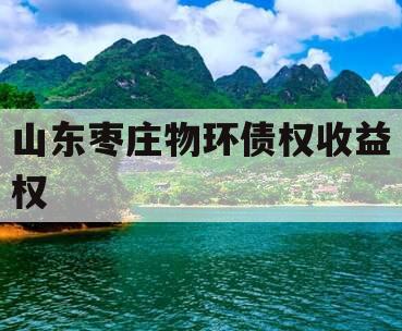 山东枣庄物环债权收益权