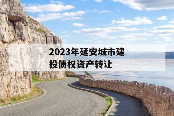 2023年延安城市建投债权资产转让