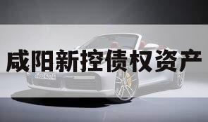咸阳新控债权资产