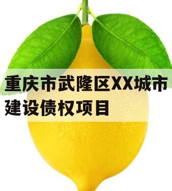 重庆市武隆区XX城市建设债权项目