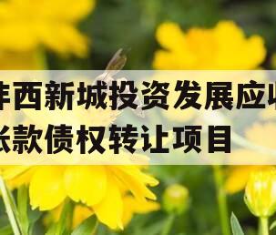 沣西新城投资发展应收账款债权转让项目