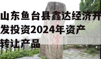 山东鱼台县鑫达经济开发投资2024年资产转让产品
