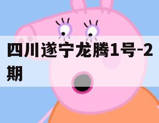 四川遂宁龙腾1号-2期