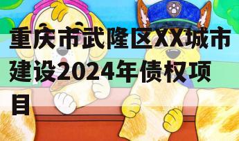重庆市武隆区XX城市建设2024年债权项目