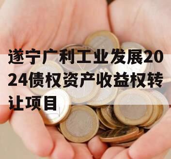 遂宁广利工业发展2024债权资产收益权转让项目