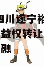 2024四川遂宁裕城资产收益权转让计划城投债定融