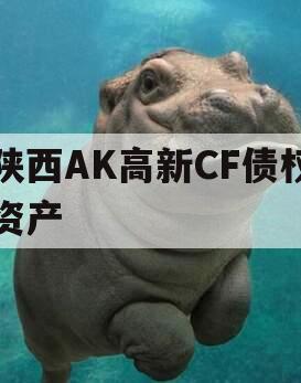 陕西AK高新CF债权资产