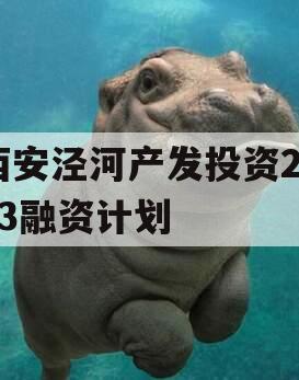 西安泾河产发投资2023融资计划