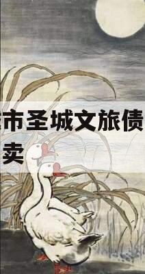 邹城市圣城文旅债权资产拍卖